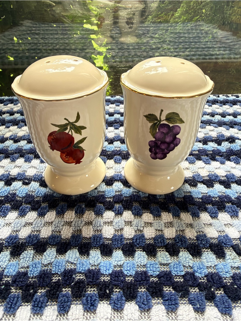 Classic Fruit-Print Ceramic Salt & Pepper Shaker Set - White with Gold Trim